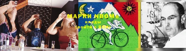 ПСИЛОЦИБИНОВЫЕ ГРИБЫ Киреевск
