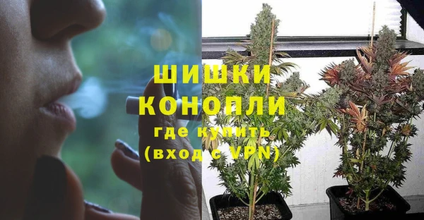 прущий лед Касимов