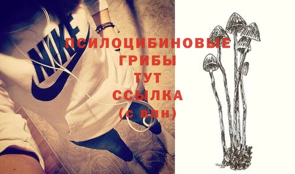 ПСИЛОЦИБИНОВЫЕ ГРИБЫ Киреевск