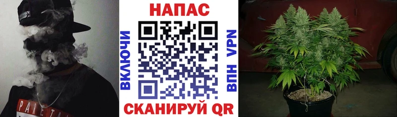 Конопля семена  Купить где  Нижний Ломов 